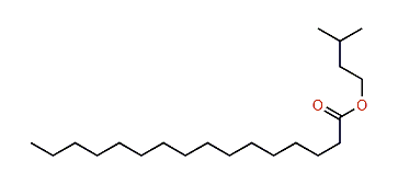 3-Methylbutyl hexadecanoate